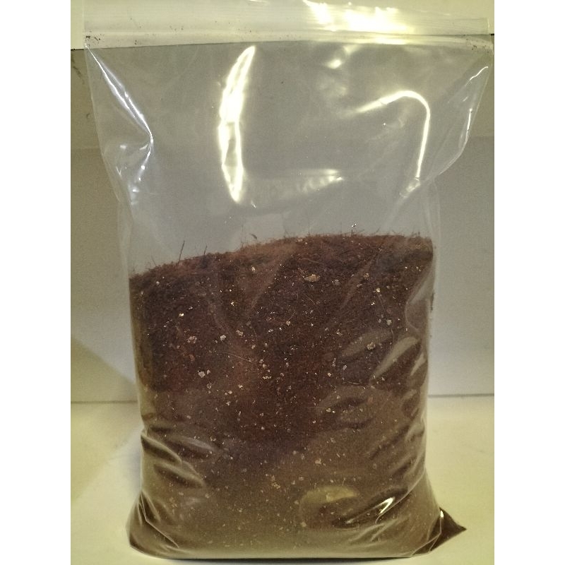 sub stage ซับปลูกเห็ดพิเศษ10 ถุงแถม2ถุง Shopee Thailand