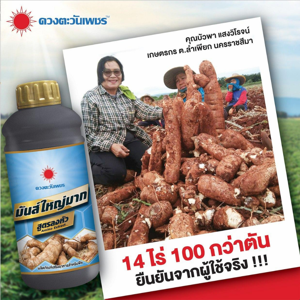 แพ็คกิ้งใหม่-มันส์ใหญ่มาก-สูตรลงหัว-บำรุงหัว-สูตรลงหัว-หัวใหญ่-บำรุงหัว-เร่งลงหัว-ชนิดน้ำ-1-ลิตร