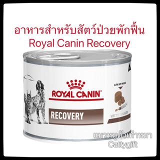 Recovery อาหารสำหรับแมวและสุนัขป่วยช่วงพักฟื้นมีสารอาหารมากกว่าปกติ