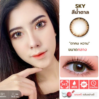 New ** Sky Brown สีน้ำตาล Wink บิ๊กอาย Bigeyes คอนแทคเลนส์ Contact lens ค่าสายตา สายตาสั้น บิ๊กอายส์ ตาโต ตาหวาน โทนแบ๊ว