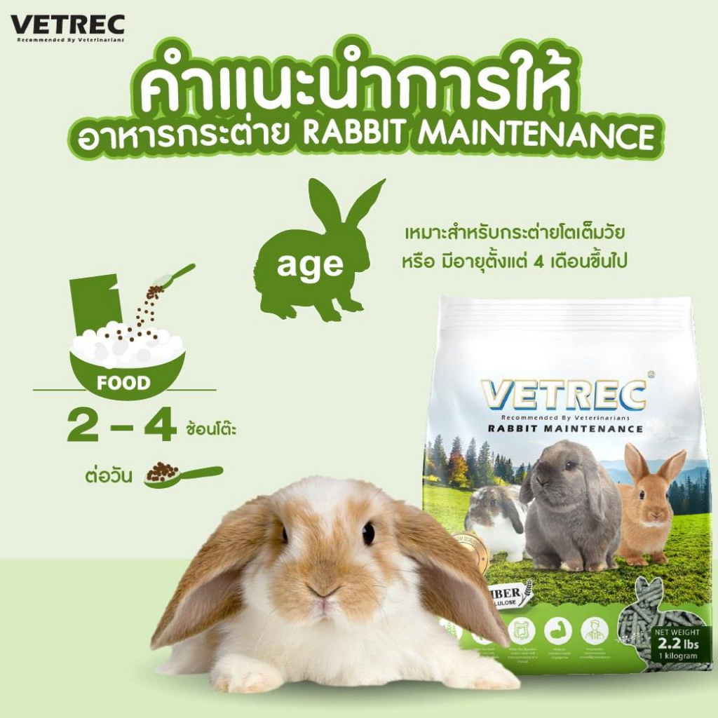 อาหารเม็ดกระต่าย-rabbit-maintenance