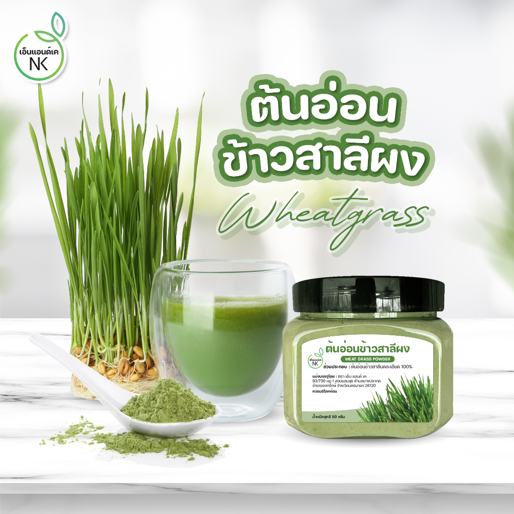 ต้นอ่อนข้าวสาลีผง-wheatgrass-powder