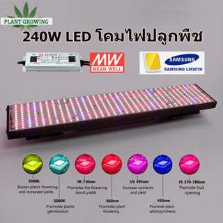 240w  LED เติบโตไฟ SamsungLM301H ไฟปลูกต้นไม้ 3000K 5000K 660nm IR UV 450nm 370-780nm Veg / Bloom state พร้อมคนขับ Meanwell