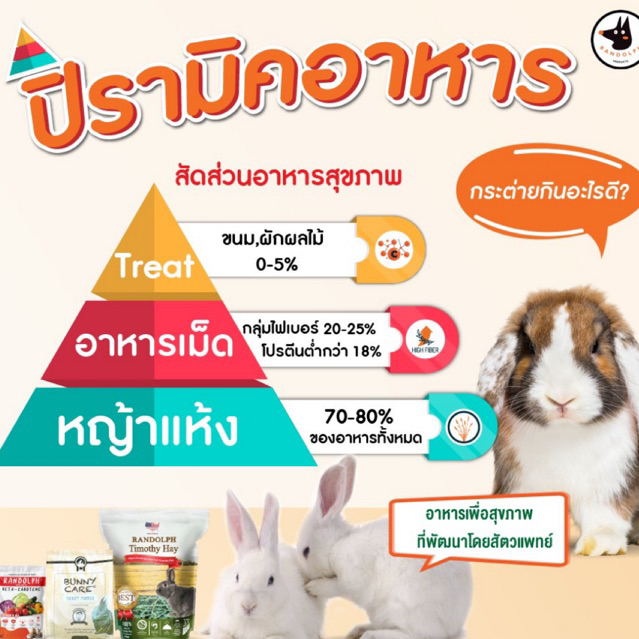 rabbit-cake-ขนมกระต่าย