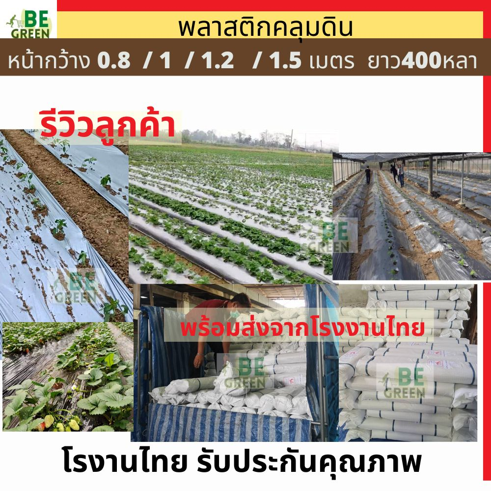 ผ้าคลุมแปลง-พลาสติกคลุมดิน-กว้าง0-8เมตร-ยกม้วน-400หลา-ผ้าคลุมดิน-พลาสติก-คลุมหญ้า-แปลงผัก-ผ้ายางดำ-25ไมครอน