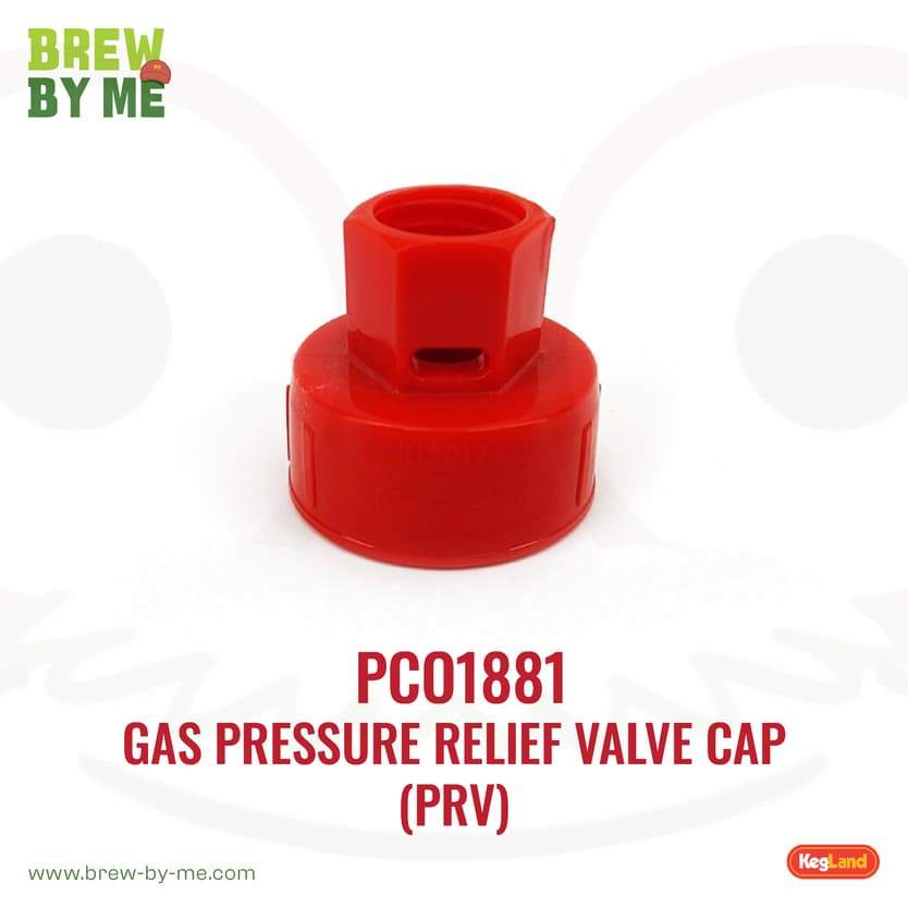 PCO1881 Gas Pressure Relief Valve Cap (PRV) Shopee Thailand