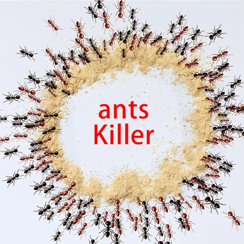ได้ผล100-กำจัดมด-ยาฆ่ามด-เหยื่อมด-ติดยา1ตัว-ตายทั้งรัง-เหยื่อกำจัดมด-มดตาย-ผงฆ่ามด-ant-bait