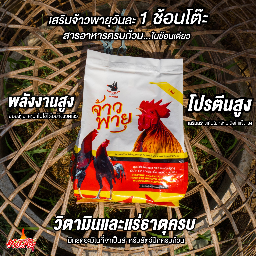 ซื้อ-2-แถม1-อาหารเสริมไก่ชน-จ้าวพายุ-เพิ่มโครงสร้าง-ขนาด-1-กก