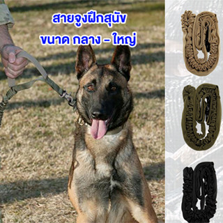 สายจูงสุนัขขนาดกลางขนาดใหญ่ สายจูงฝึกสุนัข Dog leash มีตวามยืดหยุ่นทนทานสูง