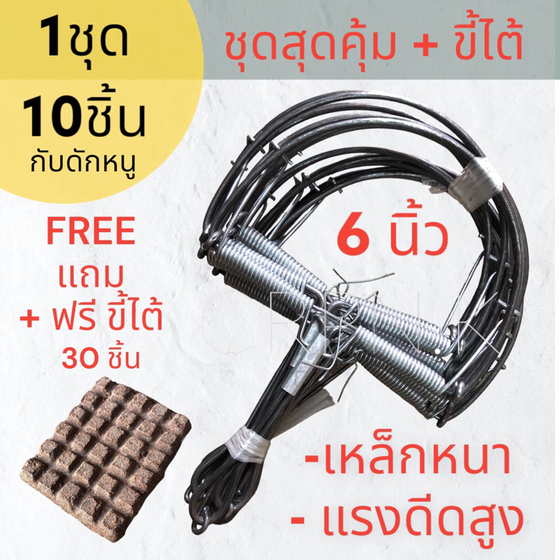 สุดคุ้ม-6นิ้ว-กับดักหนู-ขี้ไต้แผ่น