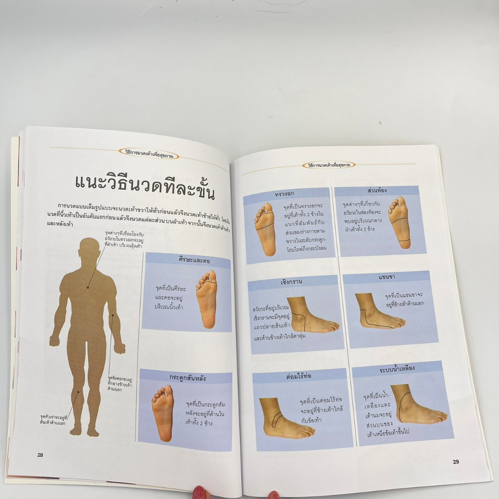 corcai-หนังสือ-วิธี-นวดเท้าเพื่อสุขภาพ-นวดแผนไทย-เรียนรู้การนวดเท้า-โดยชมรมนวดแผนไทย-สินค้าใหม่-ราคาโรงงาน-ลดพิเศษ