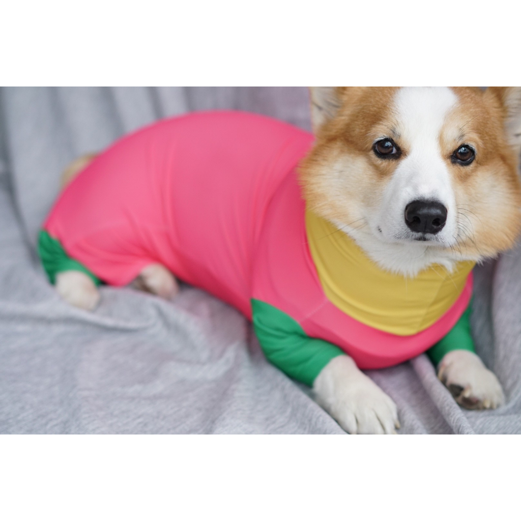 ชุดกันขนร่วงน้องหมาและน้องแมว-ลายชุดหลากสี-สีชมพู