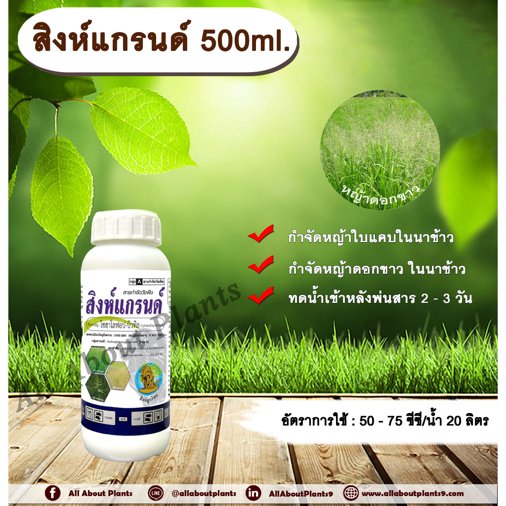 สิงห์แกรนด์-500ml-ไซฮาโลฟอบ-บิวทิล-สารกำจัดวัชพืช-สารกำจัดหญ้า-ในนาข้าว-หญ้าใบแคบ-หญ้าดอกขาว-allaboutplants