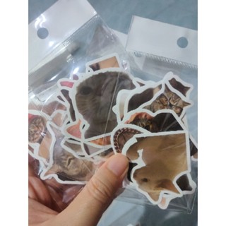 สติ๊กเกอร์การ์ตูนน่ารัก 10 ชิ้น #c พร้อมส่ง✨🥳🥳🥳