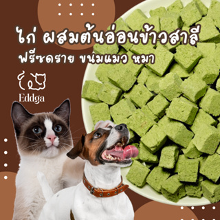 ส่งไว ร้านไทย 🇹🇭 ไก่ ผสม ต้นอ่อนข้าวสาลี หญ้าแมว ฟรีซดราย 🌱🌱 อบแห้ง ขนมแมว 🐈 ขนมหมา 🐶 ไม่ใส่สารกันเสีย