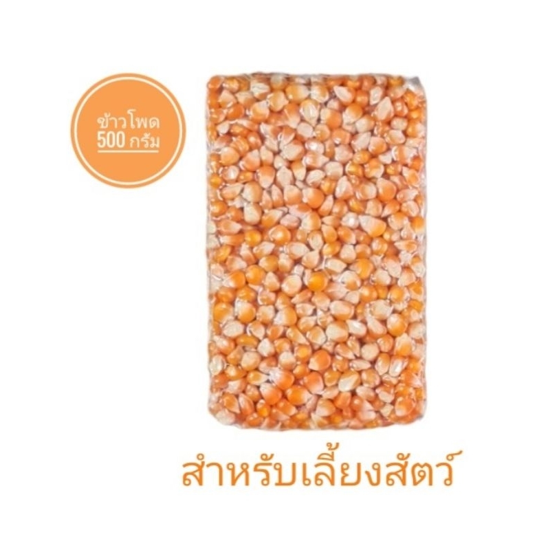 ข้าวโพด-ข้าวโพดเม็ดสำหรับเลี้ยงสัตว์-ขนาด-500-กรัม