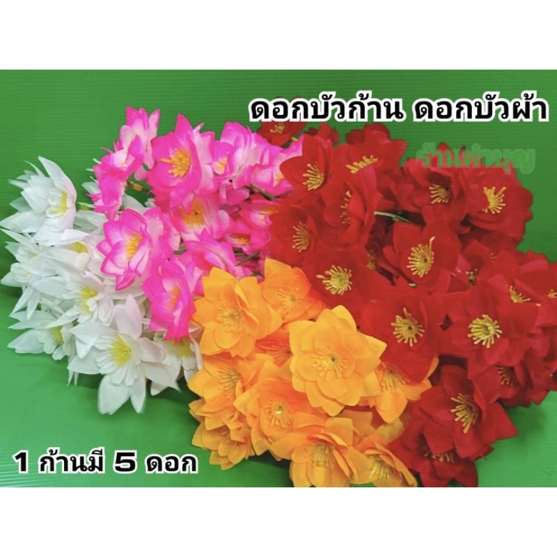 ดอกบัว-ดอกบัวก้าน5ดอก-ขายเป็น-1-ก้าน-ดอกบัวบาน-ดอกไม้ตกแต่ง-ดอกไม้ไหว้พระ-ดอกบัวมี4สี-บัวชมพู-บัวเหลือง-บัวแดง-บัวขาว