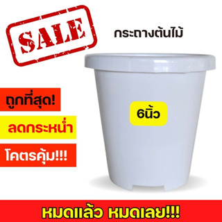 สินค้า กระถาง 6นิ้ว กระถางปากพับ 6 นิ้ว กระถางต้นไม้ 6นิ้ว กระถางทรงสูง