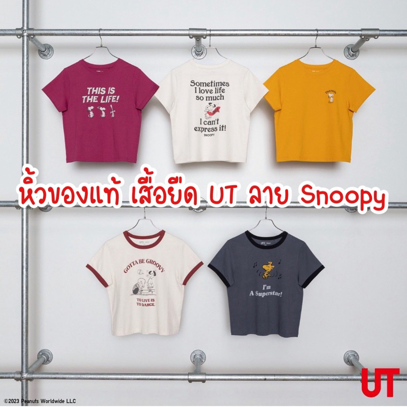 รับหิ้วของแท้-uniqlo-เสื้อยืด-ut-คอลเลคชั่น-snoopy-สนใจสอบถามได้จ้า