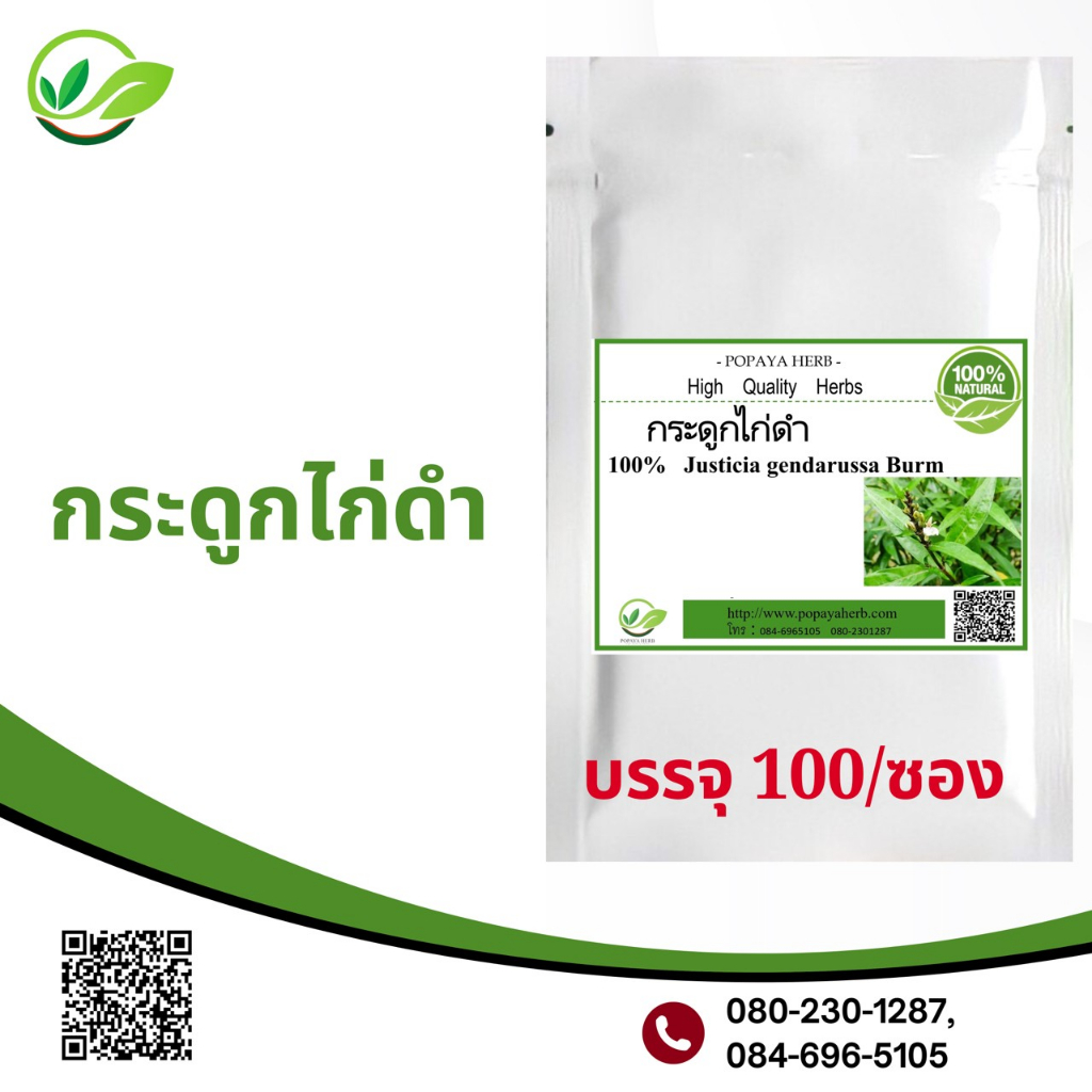 กระดูกไก่ดำ-willow-leaved-justicia-100