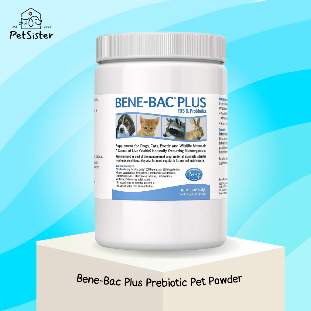 BeneBac Plus Prebiotic Pet Powder 454g โพรไบโอติกส์สำหรับสัตว์เลี้ยง x