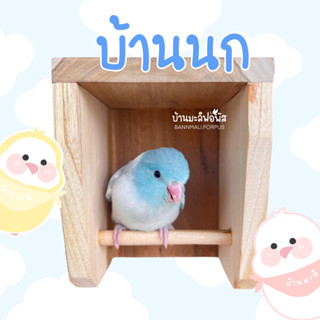 บ้านนอนนกฟอพัส บ้านยืนนอน น่ารักตะมุตะมิ