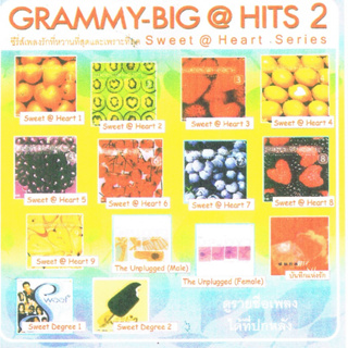 CD USB MP3 Grammy Big Hits 2 รวมเพลงยุค 90s เพราะๆ อย่าพลาดเน้อ!!