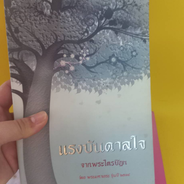 หนังสือสอนแม่หัดปฏิบัติธรรมหนังสือธรรมะเซ็ท-60-บาทหนังสือมือสองสภาพดีมาก