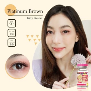 💖 Kitty Kawaii ๑ Platinum สายตา -00 ถึง -1000 brown gray Contactlens บิ๊กอาย คอนแทคเลนส์ ราคาถูก แถมตลับฟรี