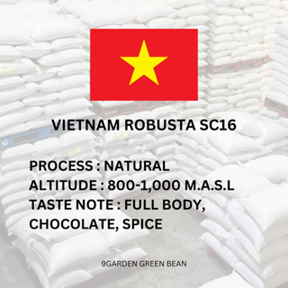 สารกาแฟ Vietnam Robusta SC16