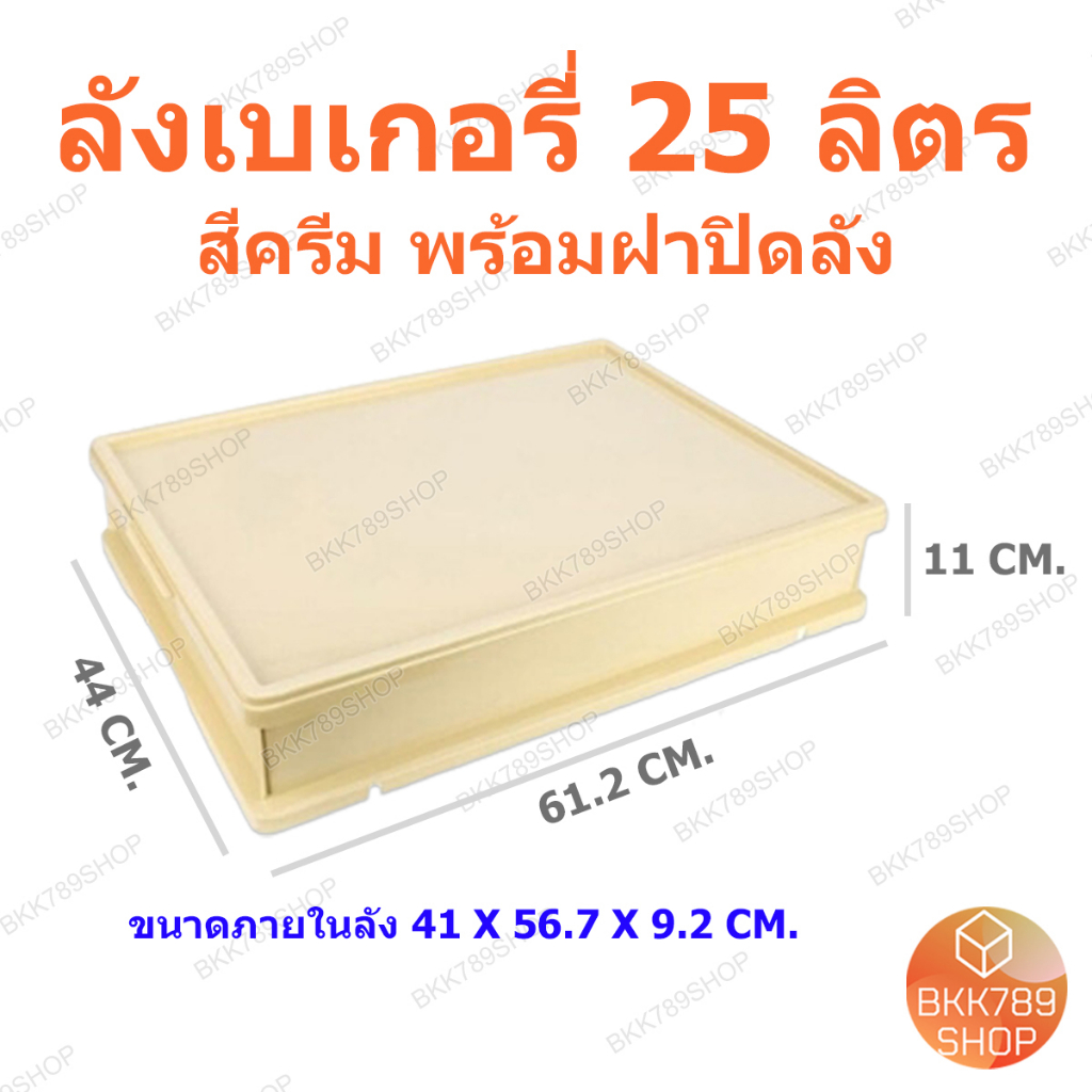 bkk789shop-ลังเบเกอรี่-กล่องใส่โดนัท-กล่องขนมปัง-กล่องคุกกี้-กล่องเค้ก-กล่องขนมเปี๊ยะ-กล่องใส่บราวนี่-ลังพลาสติกพร้อมฝา