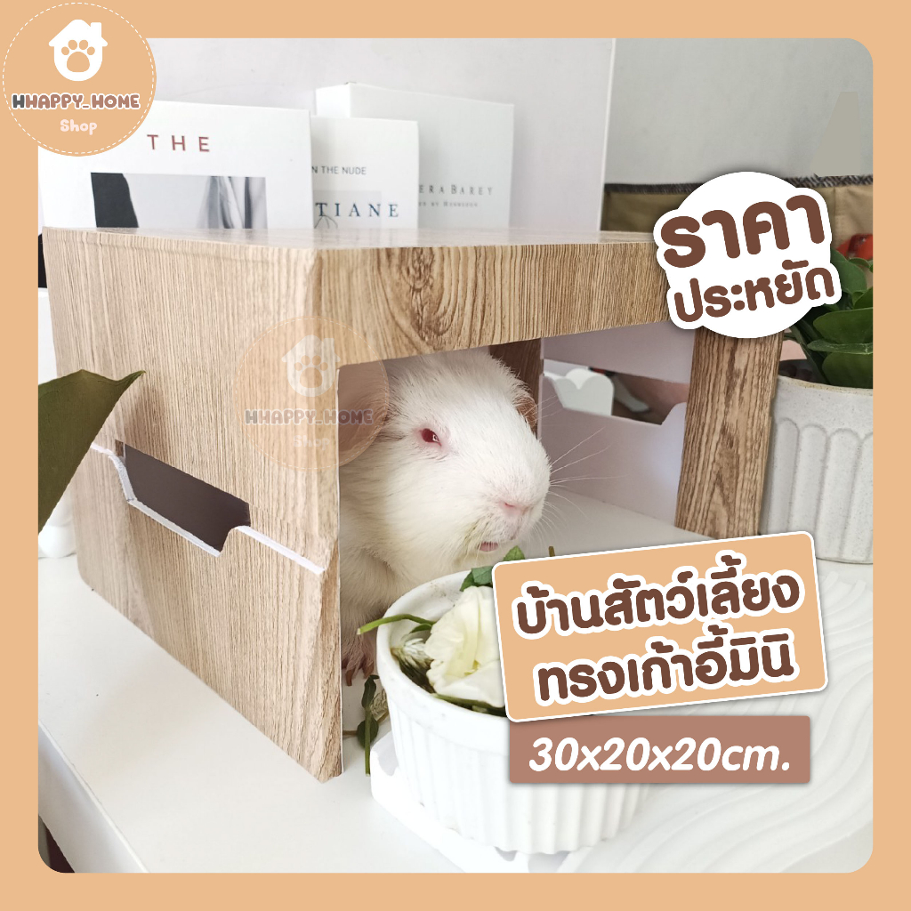 บ้านสัตว์เลี้ยงชนิดเล็ก-ทรงเก้าอี้มินิ-เหมาะสำหรับ-แกสบี้-เหม่นแคระ-เม่นแคระ-เต่า-บ้านสัตว์เล็ก-โมเดลบ้านสัตว์เลี้ยง