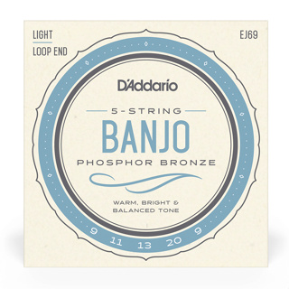 สายแบนโจ DAddario Banjo Strings EJ69 Regular Light Set 9-20 Phosphor Bronze
