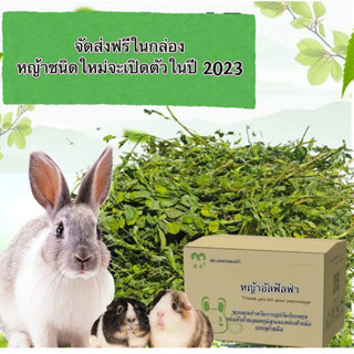 2021 หญ้าอัลฟัลฟา หญ้าแห้ง อาหารเด็ก กระต่าย หญ้า เพื่อนบ้านของฉัน หญ้า Totoro หนูตะเภา หญ้าแห้ง อาหารหลัก กระต่าย หญ้า