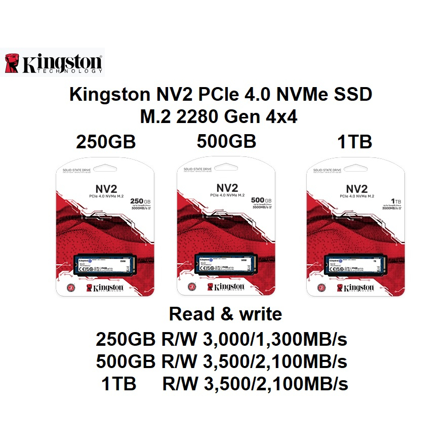 kingston-nv2-pcie-4-0-nvme-ssd-m-2-2280-gen-4x4-ขนาดให้เลือก-250gb-500gb-และ-1tb-อ่านสูงสุด-3-500mb-s-เขียนสูงสุด-2-100m