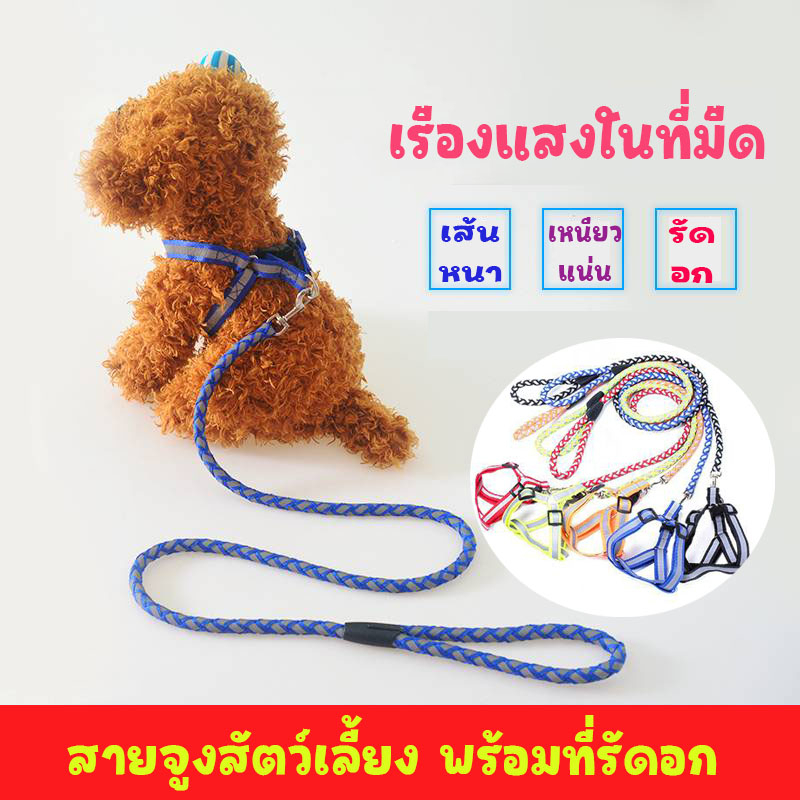 สายจูงพร้อมที่รัดอก-เส้นเดียวจบ-ไม่ต่องซื้อแยก-เพิ่มเส้นเรืองแสง