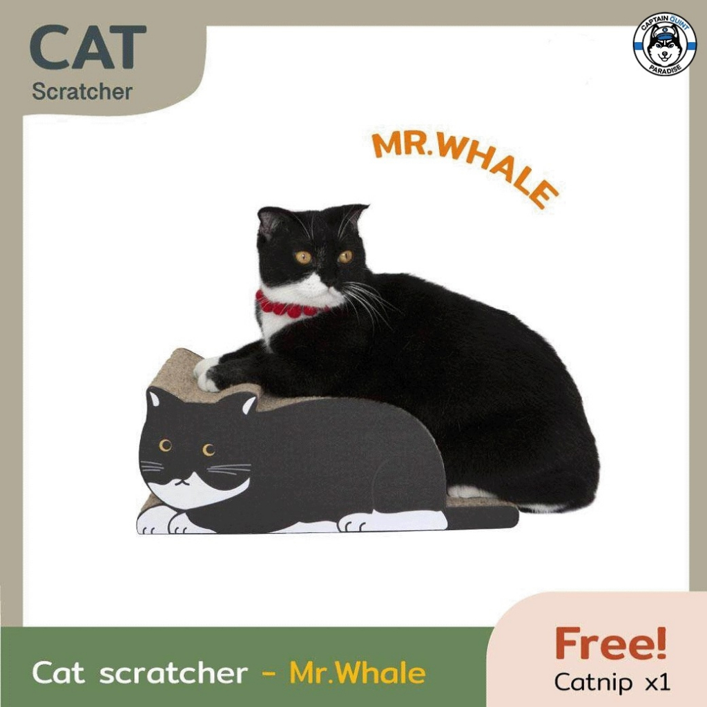 kafbo-cat-scratcher-mr-whale-ที่ลับเล็บแมว-ที่ฝนเล็บแมว