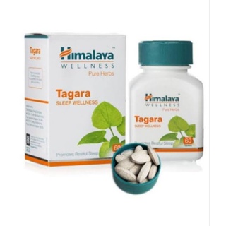 ภาพหน้าปกสินค้าHimalaya Tagara Table 60pis ที่เกี่ยวข้อง