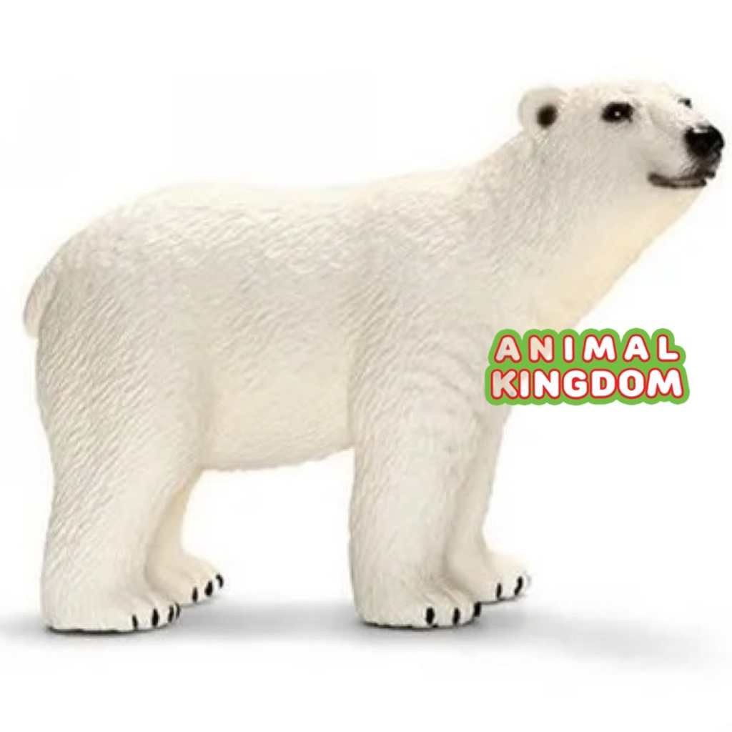 animal-kingdom-โมเดลสัตว์-หมีโพล่า-คลาน-ขนาด-10-00-cm-จากหาดใหญ่