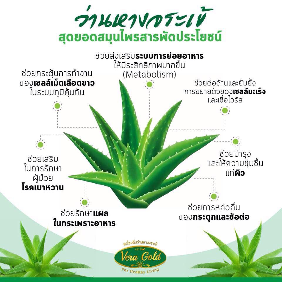 vera-gold-aloe-vera-drink-เวร่า-โกลด์-เครื่องดื่ม-ขนาด-300-ml-น้ำว่านหางจระเข้-อร่อยกับเนื้อ-ว่านหางจระเข้-ไม่เจือสีสัง