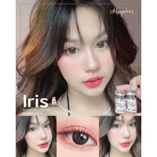 Iris brown mayalens น้ำตาลขอบ ตาหวานแบ๊ว mayalens🤎 น้ำ55%