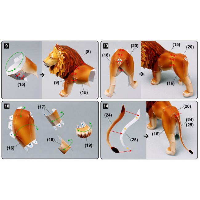 โมเดลกระดาษ-3d-สิงโตตัวผู้กำลังเดิน-กระดาษโฟโต้เนื้อด้าน-กันละอองน้ำ-ขนาด-a4-220g