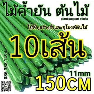 ไม้ค้ำต้นไม้.(150 cm)...(ราคาSet).