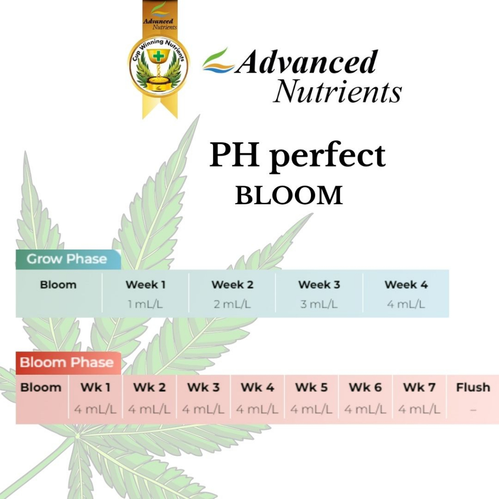 advanced-nutrients-ph-perfect-bloom-500ml-1l-ขวดแบ่ง-ปุ๋ยนอก-ปุ๋ยหลักทำใบทำดอก-ปุ๋ยลิงปุ๋ยกัญชา