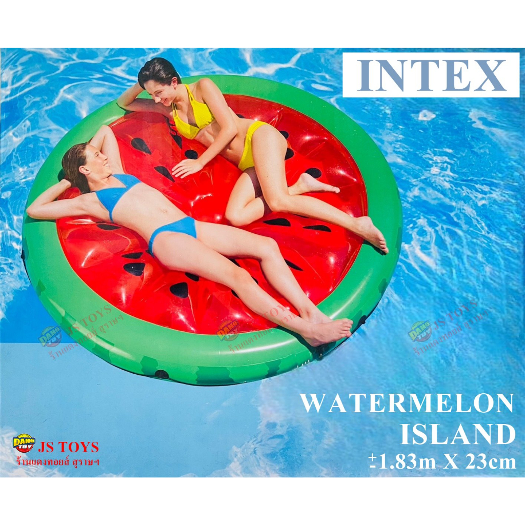 แพแตงโม-แตงโมใหญ่-แตงโมเป่าลม-watermelon-56283-intex