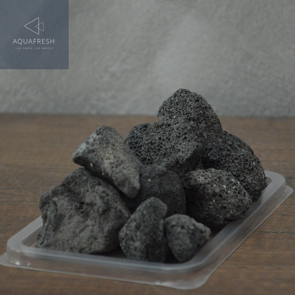 black-lava-stone-หินแบล็คลาวา-หินภูเขาไฟสำหรับตกแต่งตู้ปลา-หินพันต้นไม้