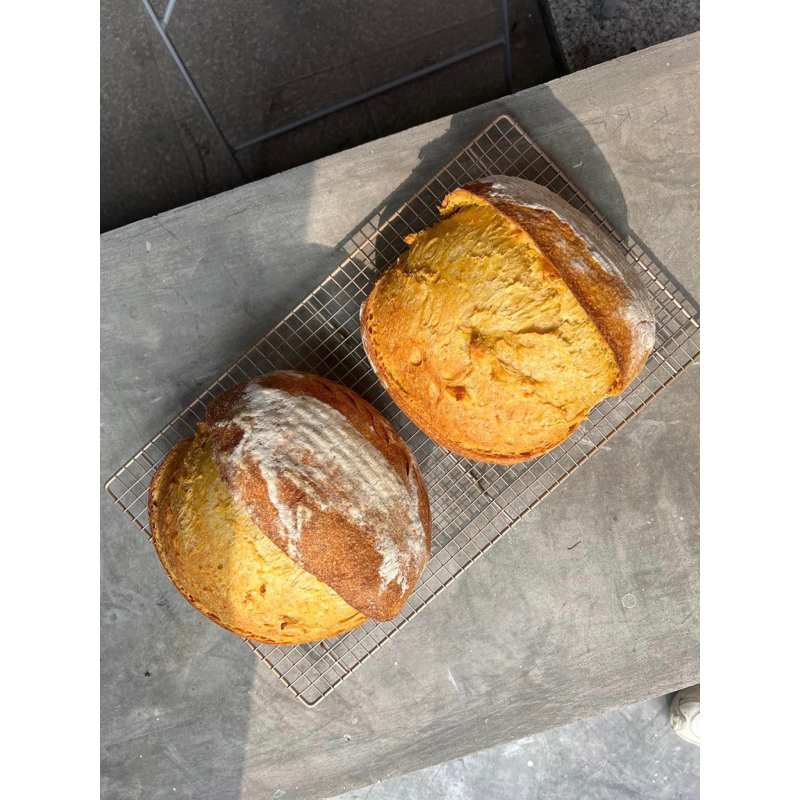 pumpkin-sourdough-bread-ขนมปังเปลือกแข็งยีสต์ธรรมชาติรสฟักทอง-มี่ราคาขายส่งสำหรับร้านค้า