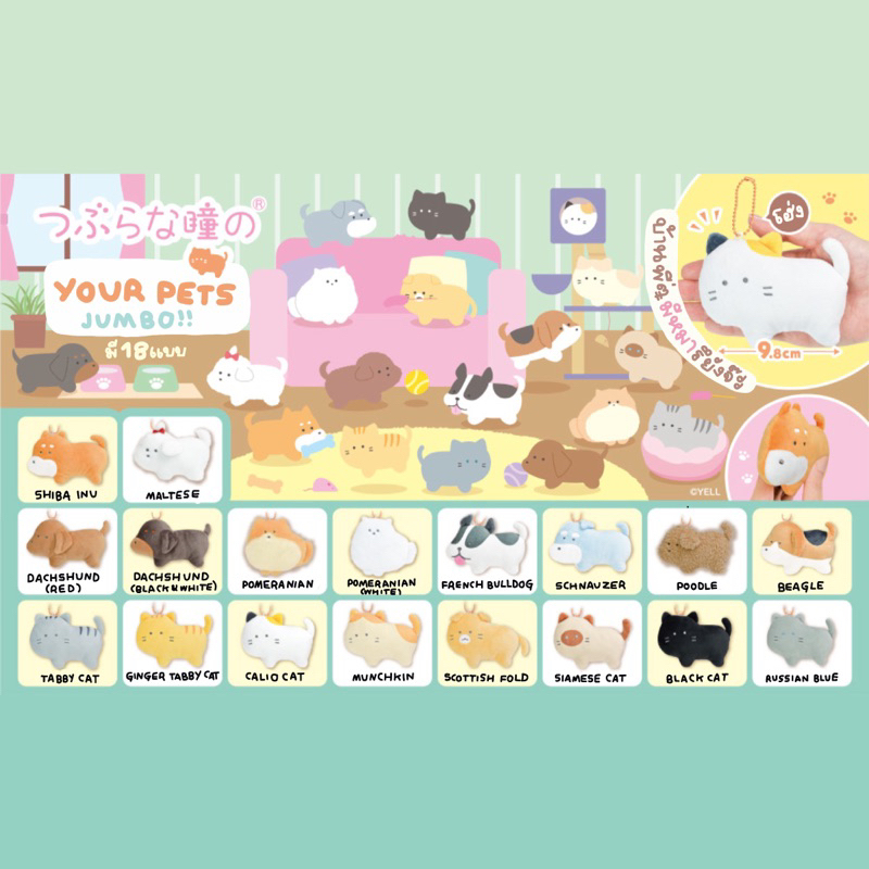 gacha-doll-your-pets-jumbo-ตุ๊กตา-หมา-แมว-จัมโบ้