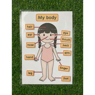 สื่อการสอน My body จับคู่คำศัพท์ร่างกายภาษาอังกฤษ
