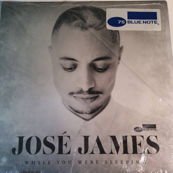 แผ่นเสียง-jose-james-while-you-were-sleeping-แผ่น-original-bluenote-record